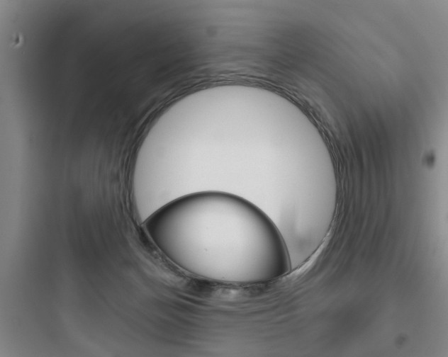 X0000097950174200803241027