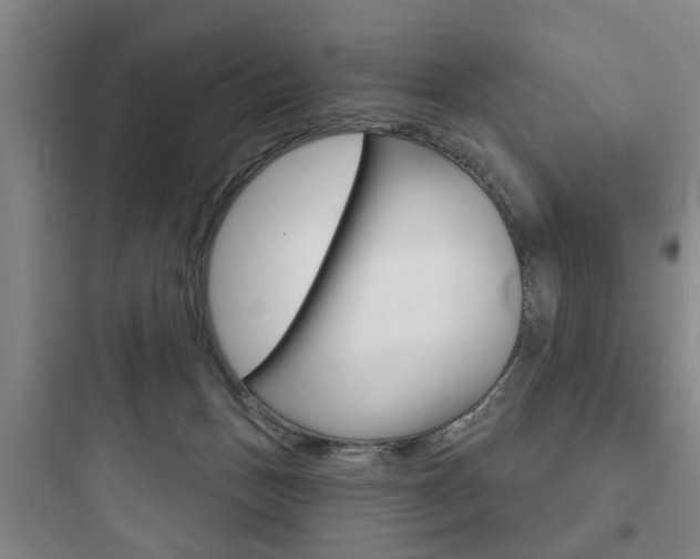 X0000097950175200803241027