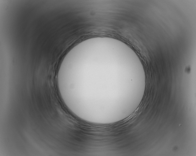 X0000097950176200803241027