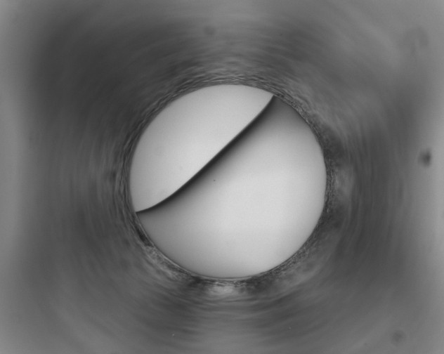 X0000097950177200803241027