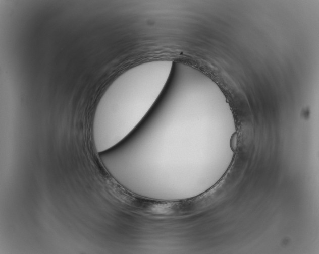 X0000097950178200803241027