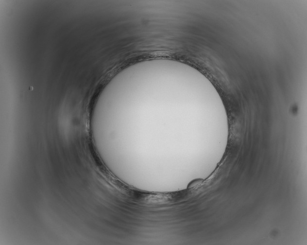 X0000097950179200803241027