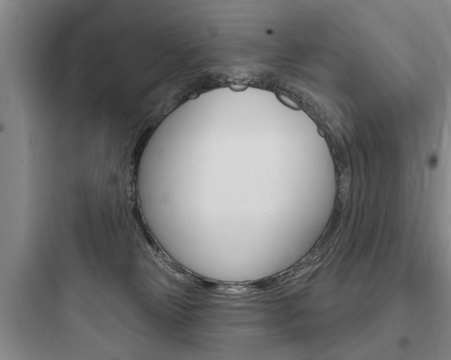 X0000097950181200803241027
