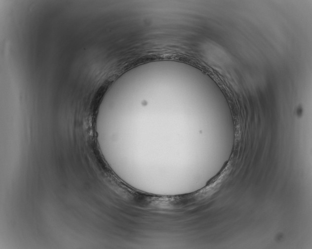 X0000097950182200803241027