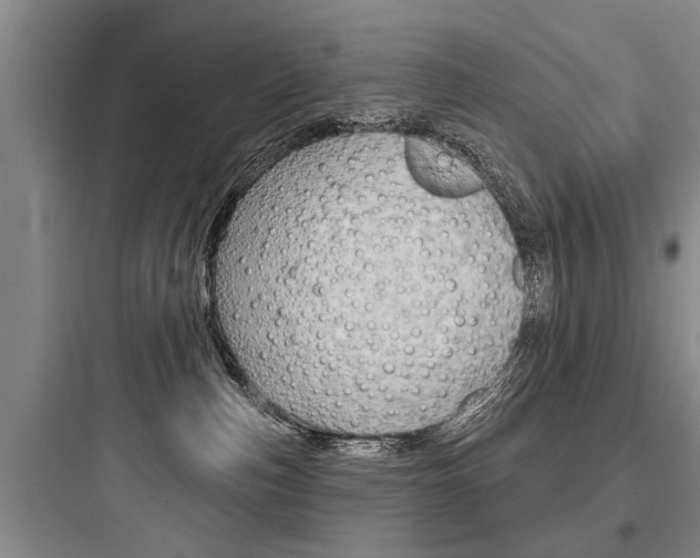 X0000097950187200803241027