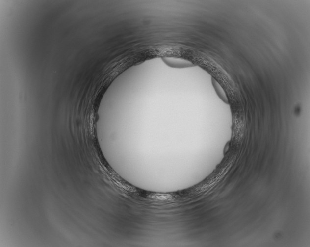 X0000097950189200803241027