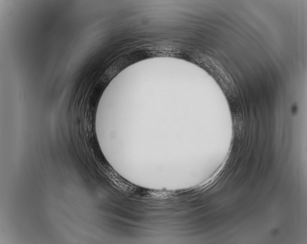 X0000097950190200803241027