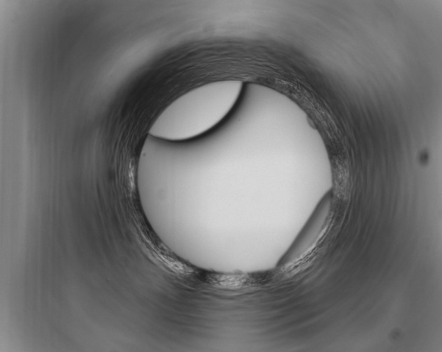 X0000097950191200803241027