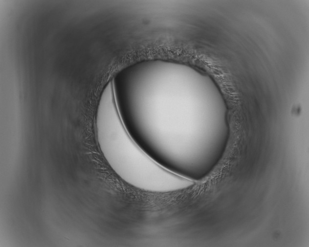 X0000097950192200803241027
