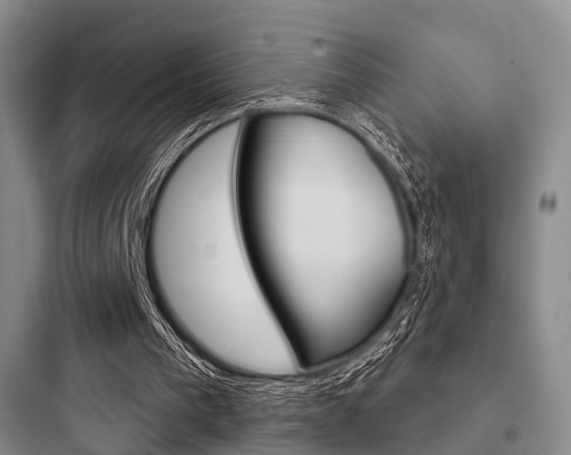 X0000097950193200803241026