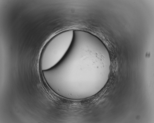 X0000097950196200803241026