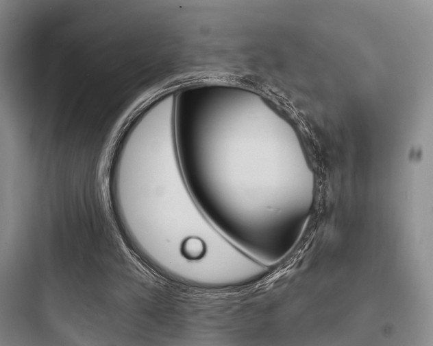 X0000097950197200803241026