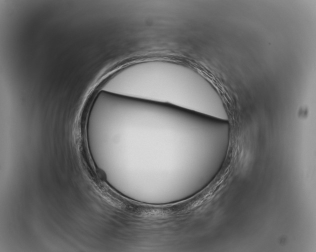 X0000097950198200803241026