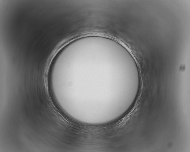 X0000097950199200803241026