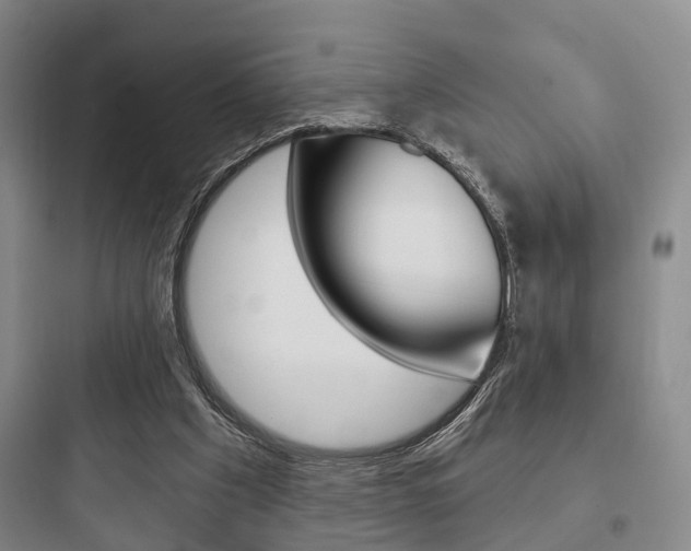 X0000097950201200803241026