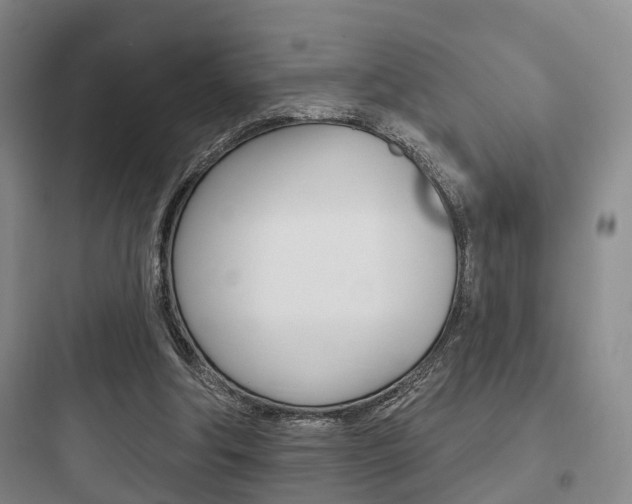 X0000097950202200803241026