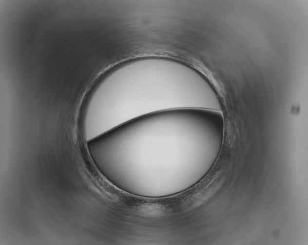 X0000097950203200803241026