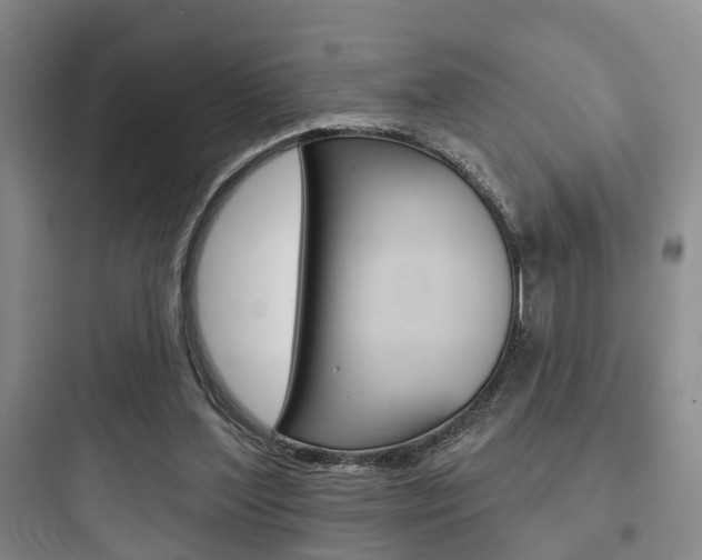 X0000097950204200803241026