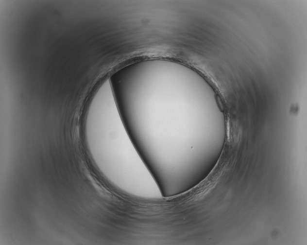 X0000097950205200803241026