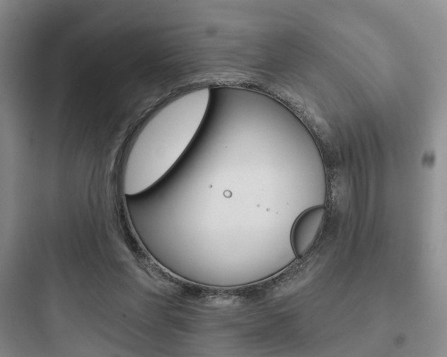 X0000097950206200803241026