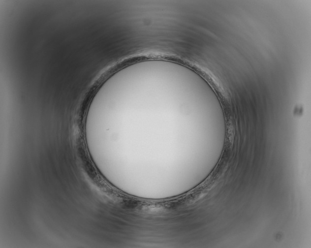 X0000097950208200803241026
