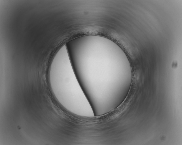 X0000097950209200803241026