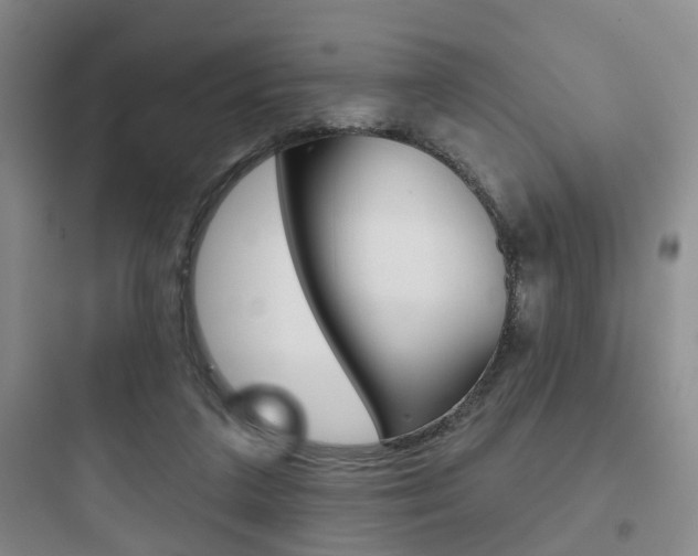 X0000097950211200803241026