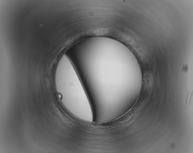 X0000097950212200803241026