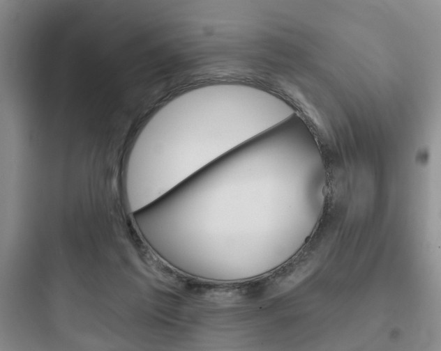 X0000097950213200803241026
