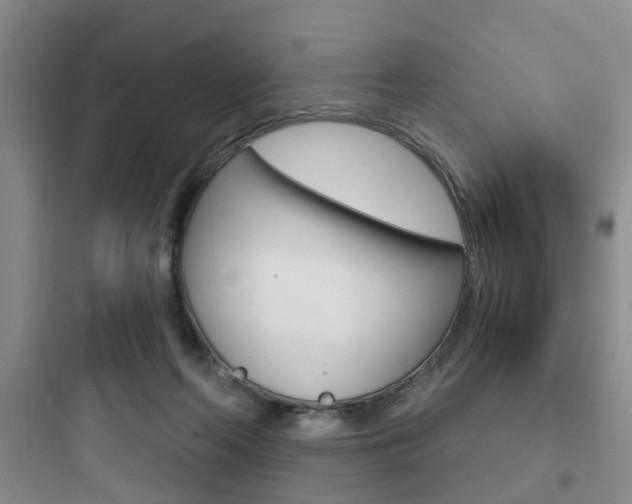 X0000097950214200803241026