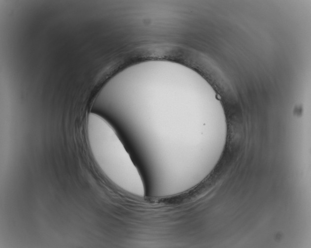 X0000097950216200803241026