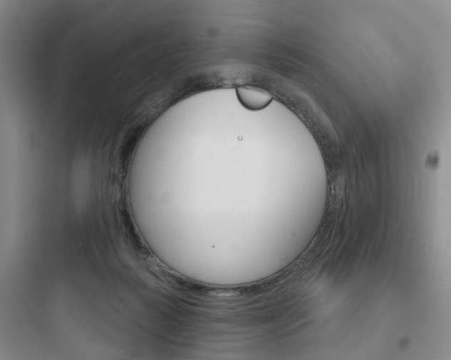 X0000097950218200803241026