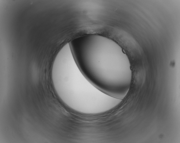 X0000097950219200803241026