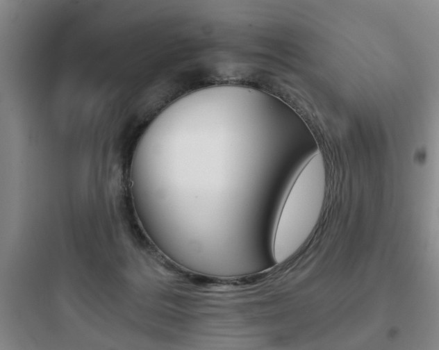 X0000097950220200803241026