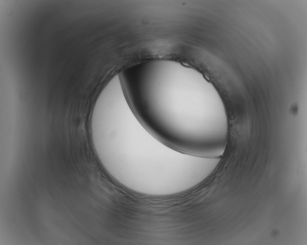 X0000097950221200803241026