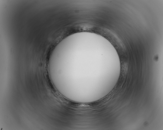 X0000097950222200803241026