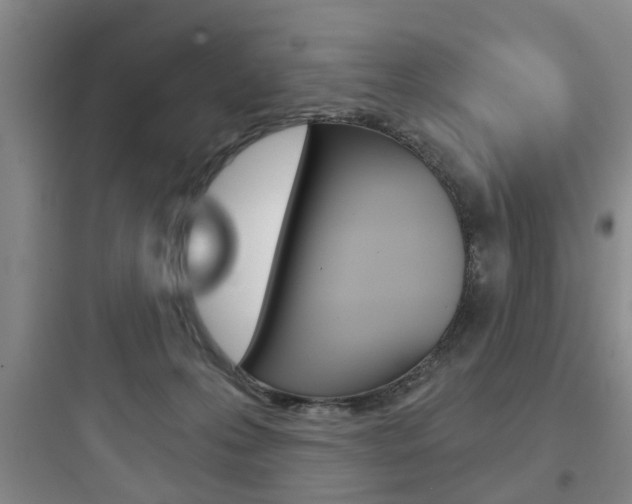 X0000097950223200803241026