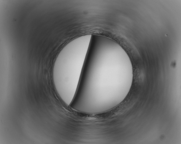 X0000097950224200803241026