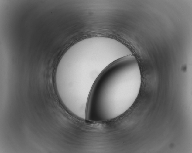 X0000097950225200803241026