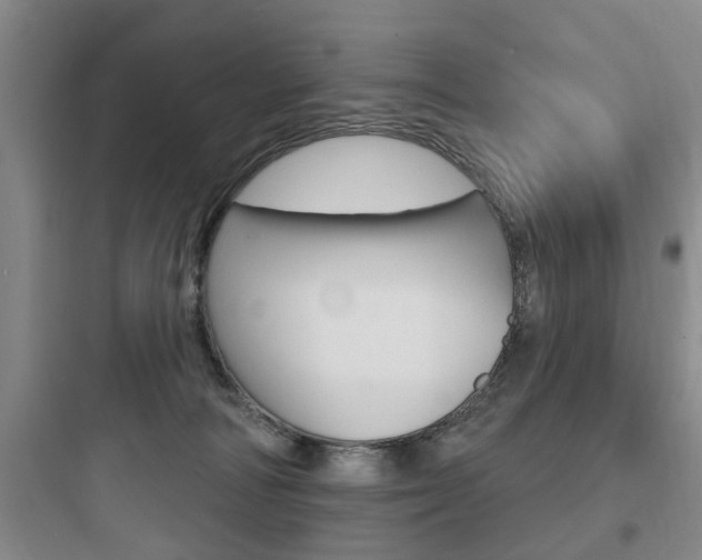 X0000097950226200803241026