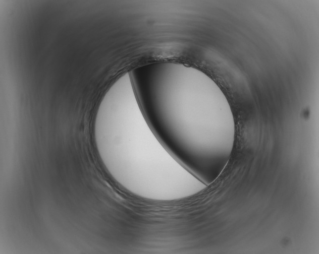 X0000097950227200803241026