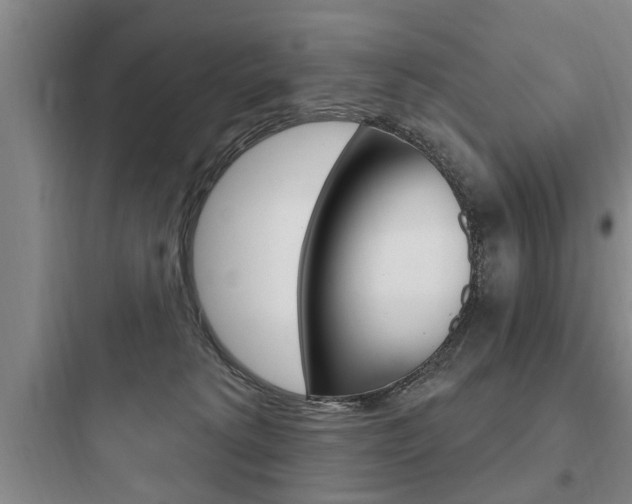 X0000097950229200803241026