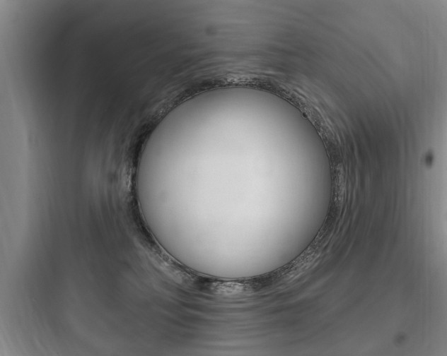 X0000097950230200803241026