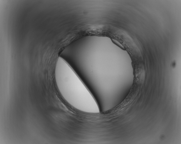 X0000097950231200803241026