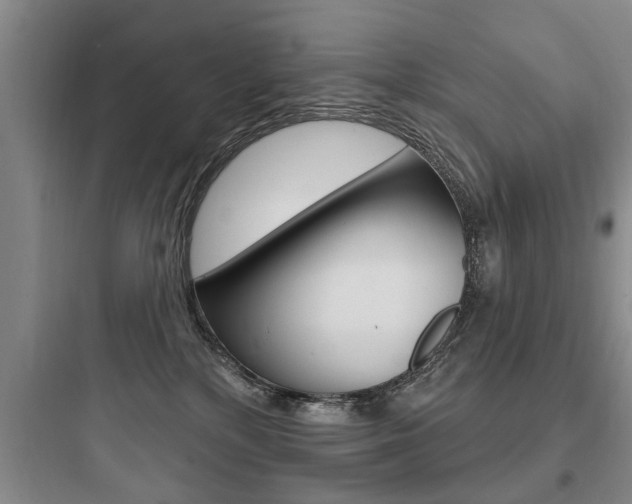 X0000097950232200803241026