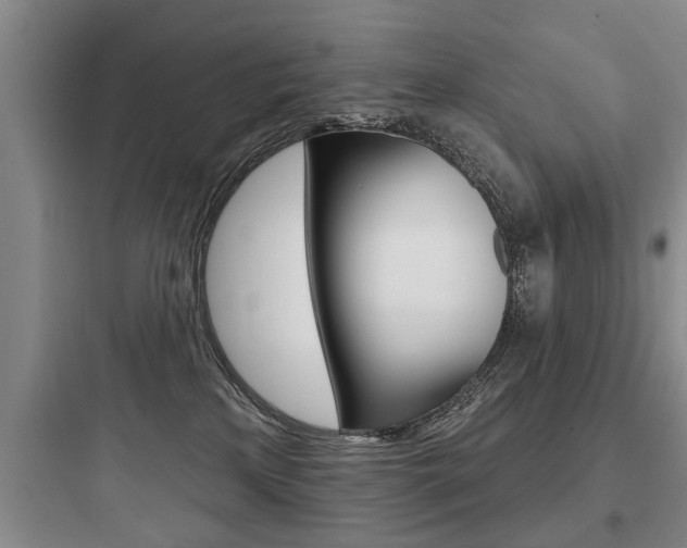 X0000097950233200803241026