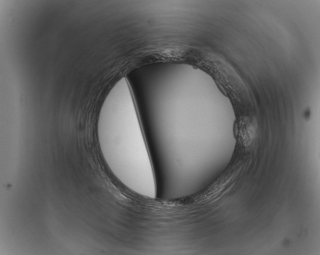 X0000097950235200803241026