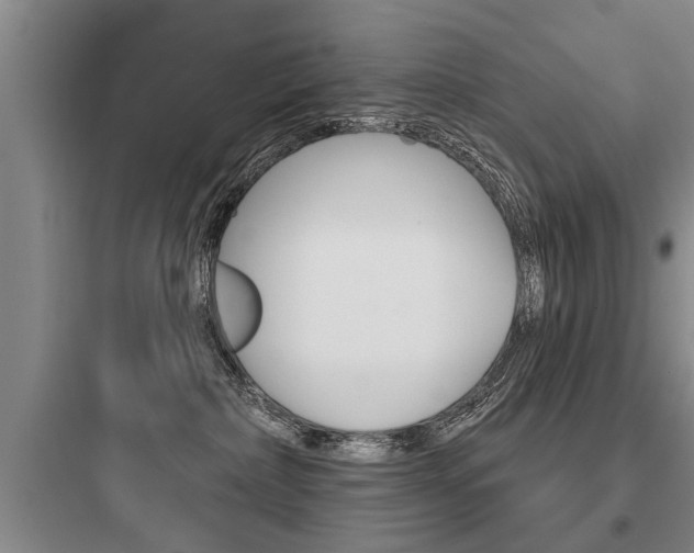 X0000097950236200803241026