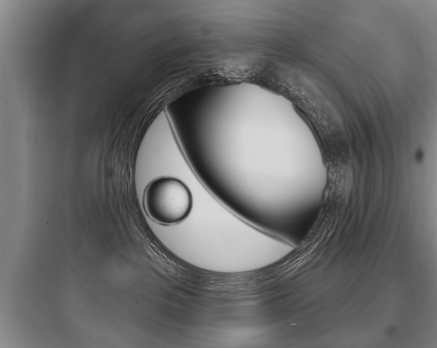 X0000097950237200803241026