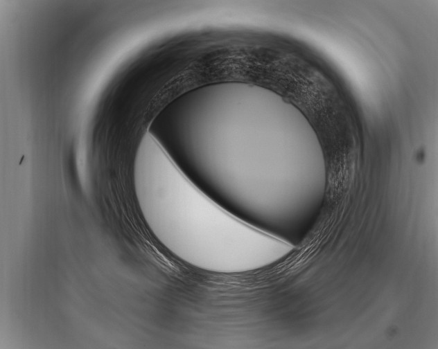 X0000097950239200803241025
